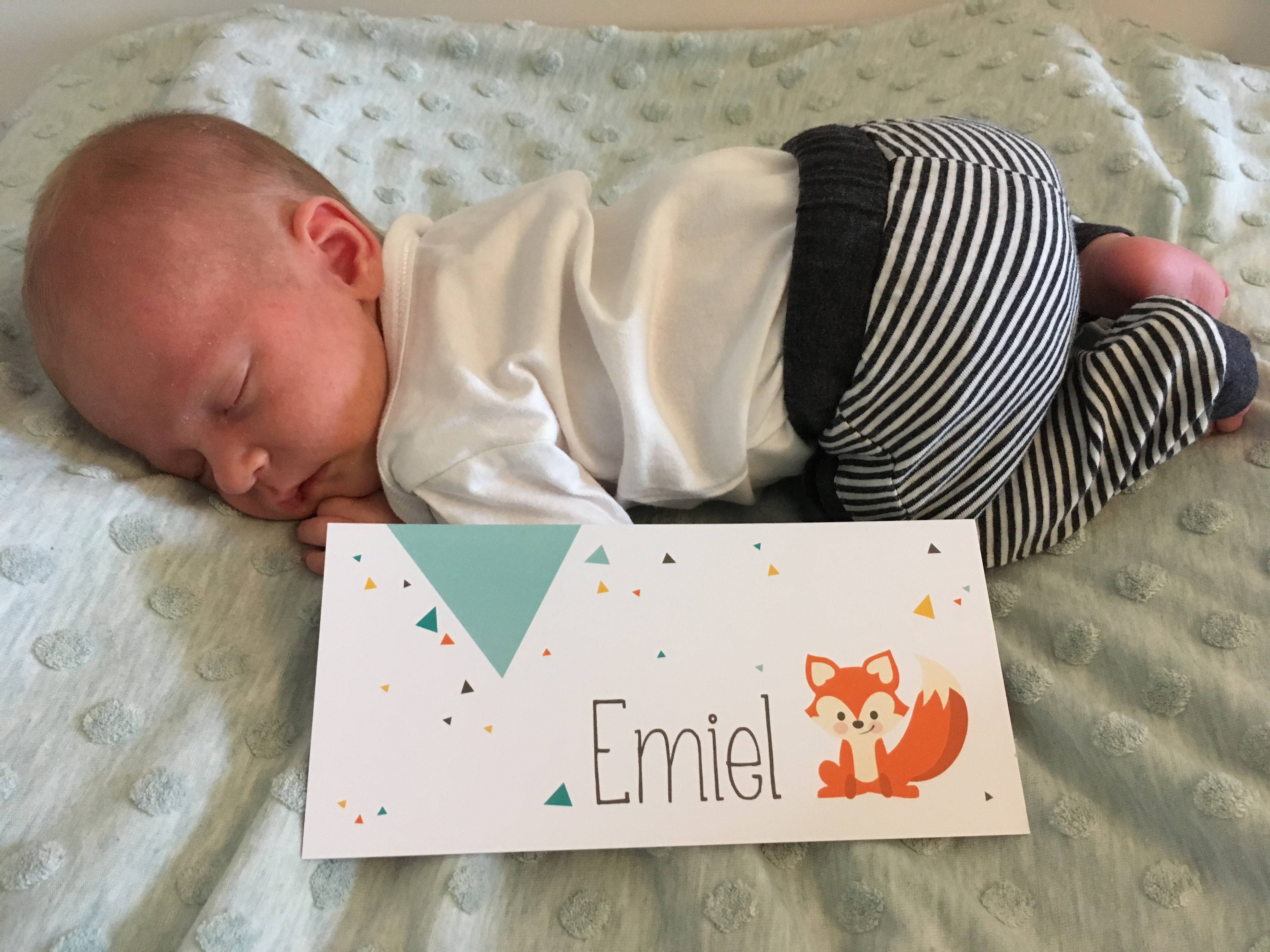 emiel-geboortekaartje-tatidesign
