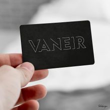 Vaneir-logo-grafischontwerp-logo-design-tatidesign
